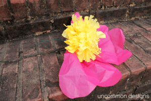 flores-gigantes