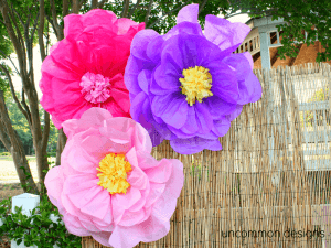 flores-gigantes