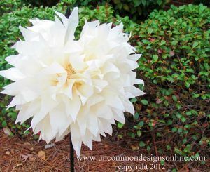 flores-gigantes