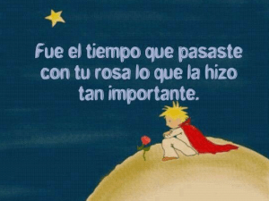 Esqueje/multiplica tus propias rosas