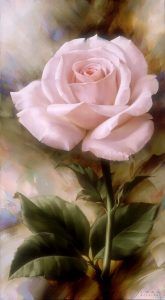 esqueja/multiplica tus propias rosas