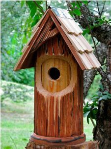 casa_de_pájaros