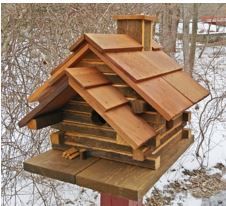 casa_de_pájaros