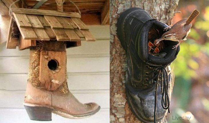 casa_de_pájaros
