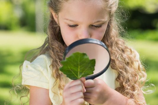 beneficios de las excursiones