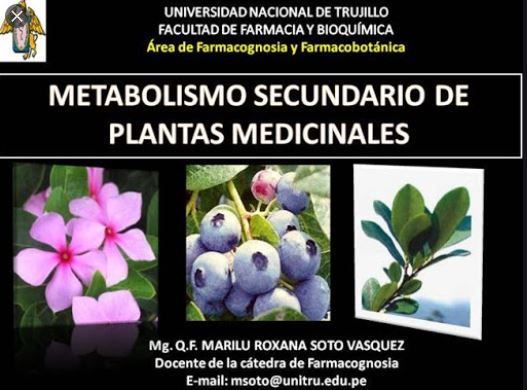 Lucha química entre plantas y virus