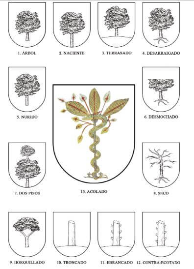 heráldica floral