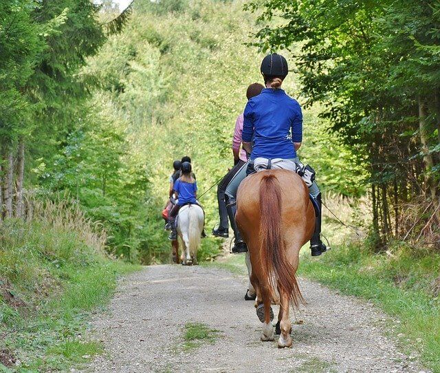 vacaciones-ecofriendly