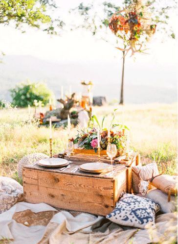 Picnic 2.0