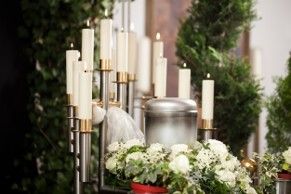 Plantas para la eternidad