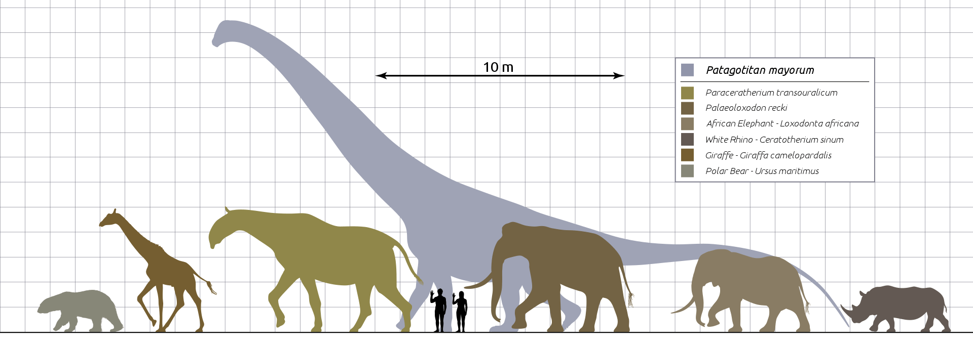 Megafauna