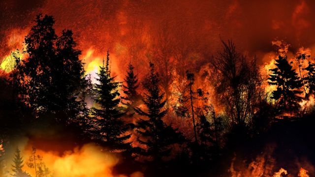Incendios por la extinción de la megafauna