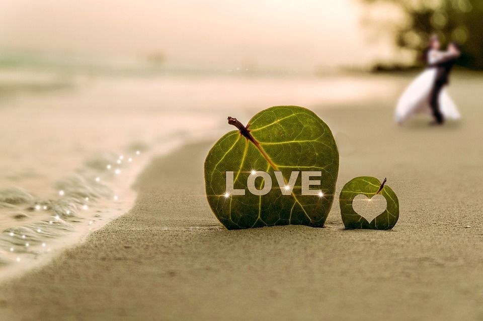 pareja ecofriendly