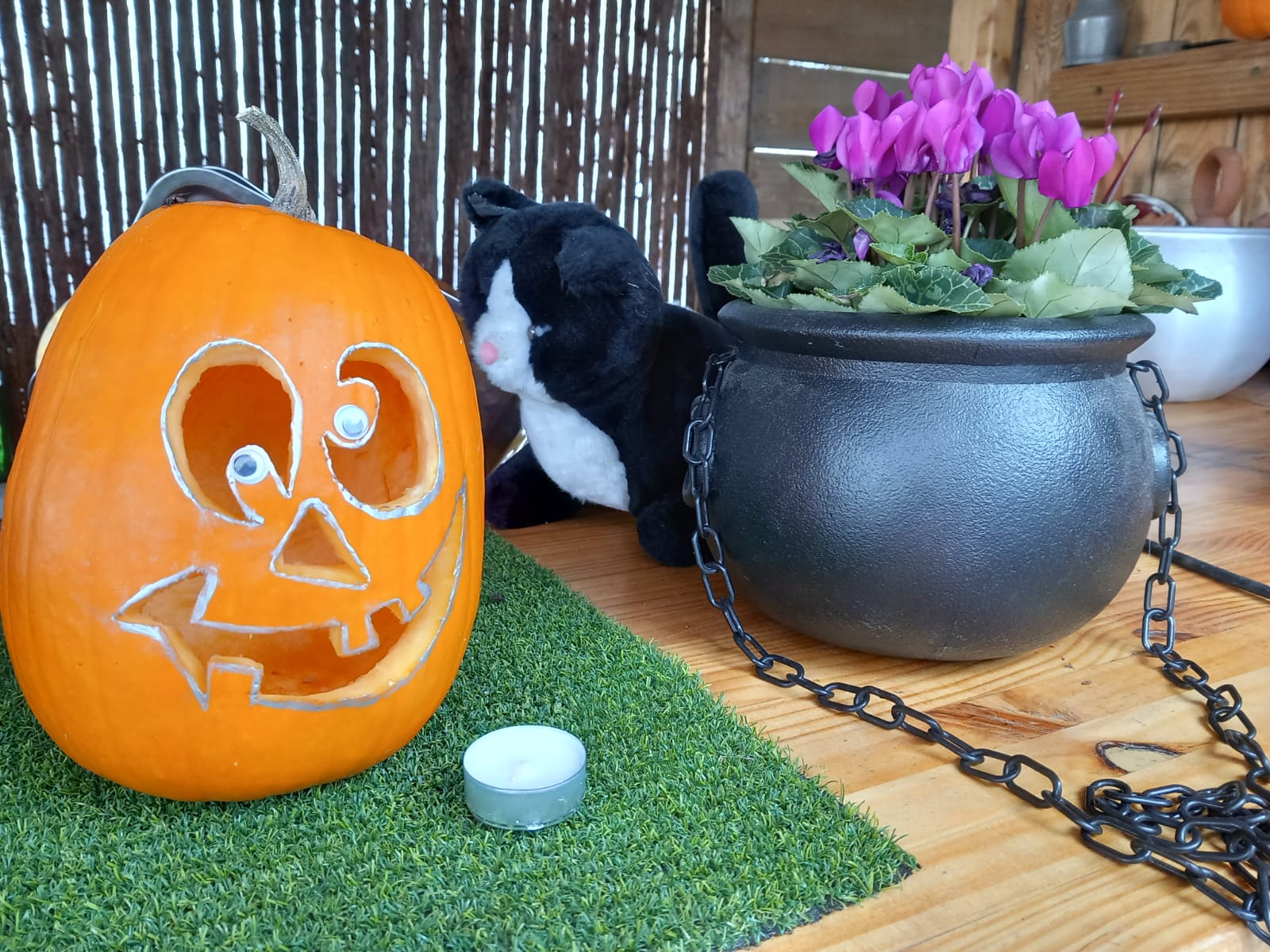 Taller Calabazas Halloween Mi Jardín ibérico
